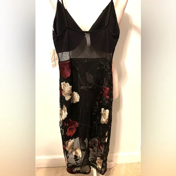 NWT Beautiful Blue Blush Dress with Red and White Floral Details - Picture 11 of 15